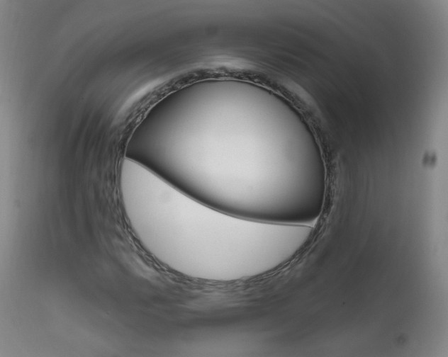 X0000111581112200907161149