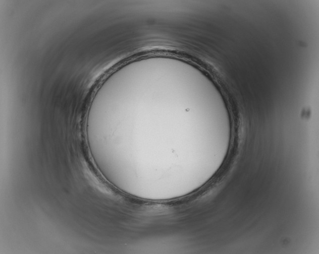 X0000111581113200907161149