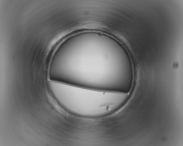 X0000111581114200907161149