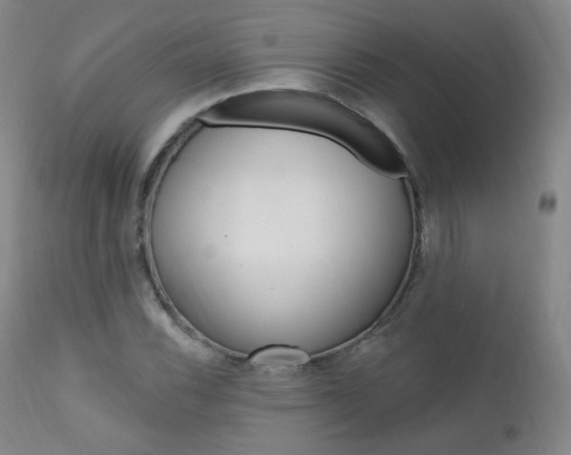X0000111581116200907161149