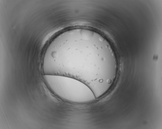 X0000111581117200907161149