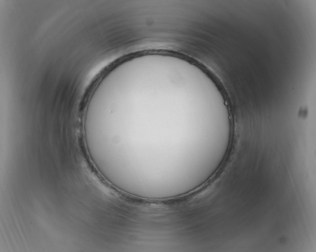 X0000111581119200907161149