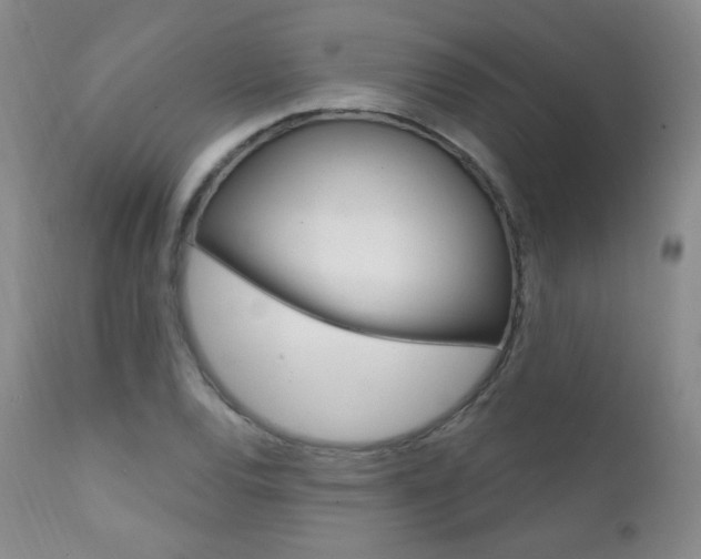 X0000111581120200907161149