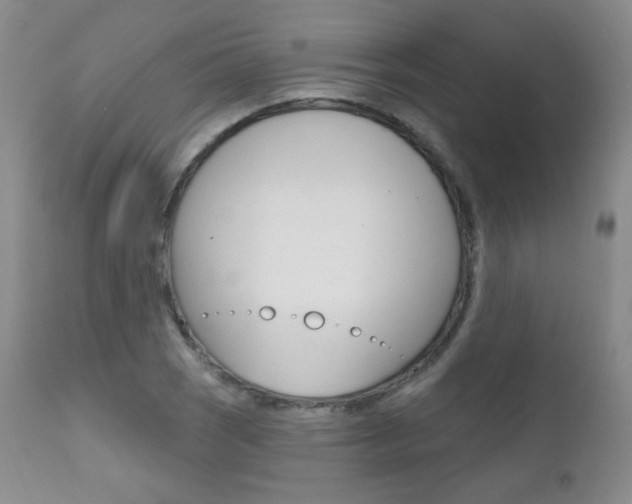 X0000111581121200907161149