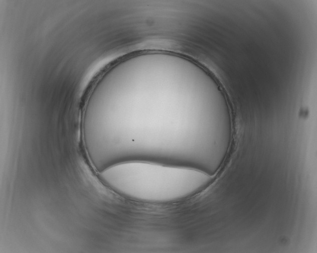 X0000111581123200907161149