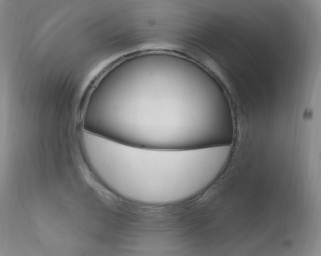 X0000111581124200907161149
