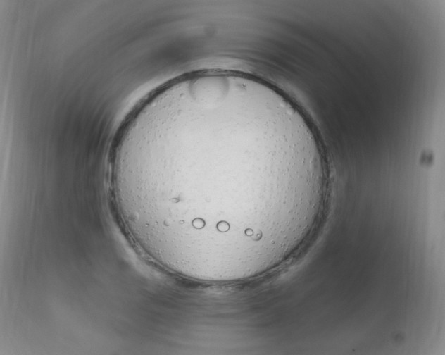 X0000111581125200907161149