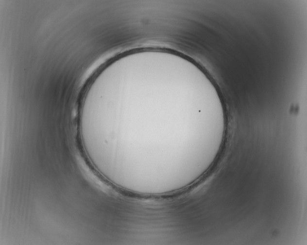 X0000111581126200907161149