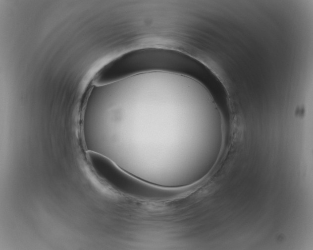 X0000111581128200907161149