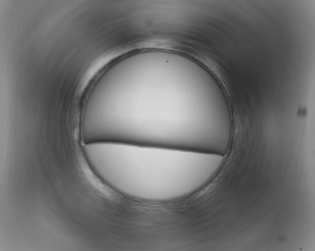 X0000111581131200907161149