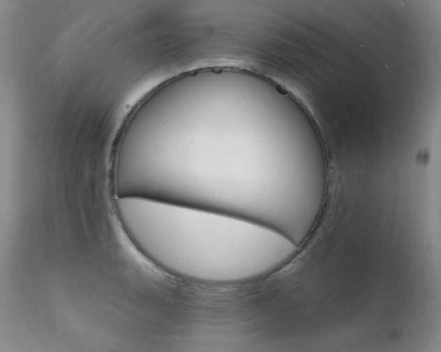 X0000111581135200907161149