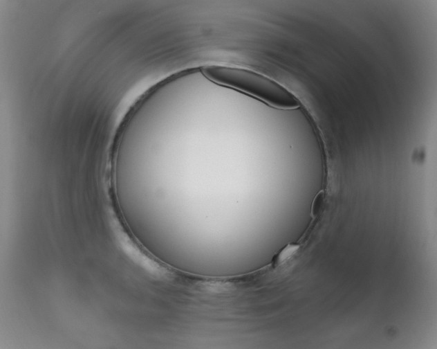 X0000111581136200907161149
