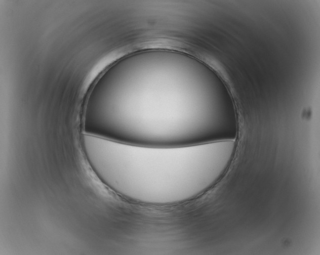 X0000111581138200907161149