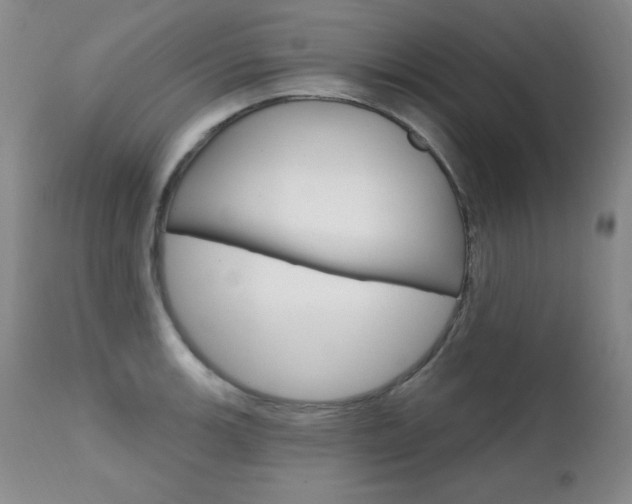 X0000111581139200907161149
