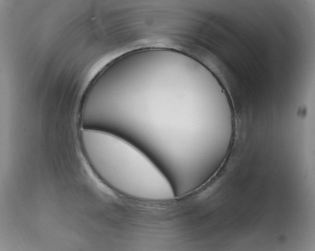 X0000111581141200907161149