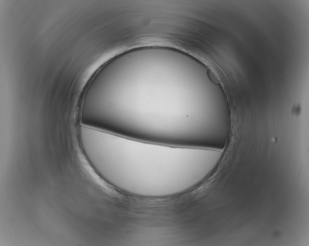 X0000111581142200907161149