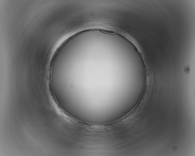 X0000111581144200907161149