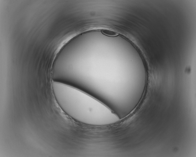 X0000111581145200907161149