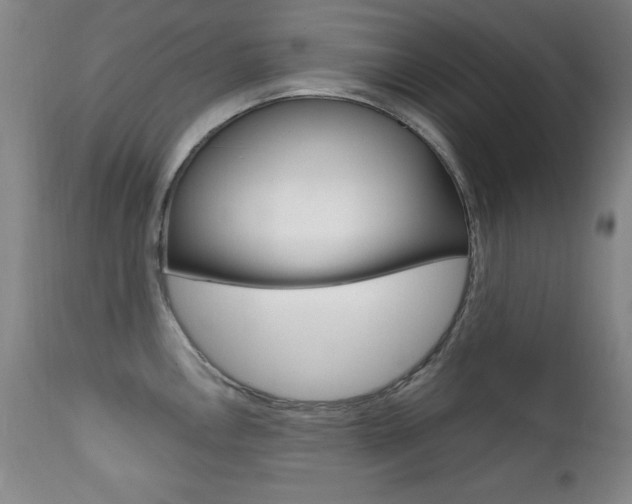 X0000111581146200907161149