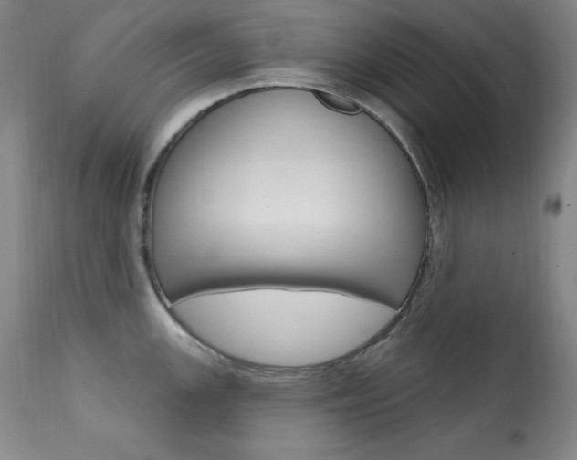 X0000111581147200907161149