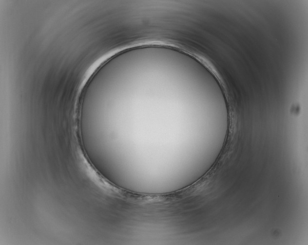 X0000111581148200907161149