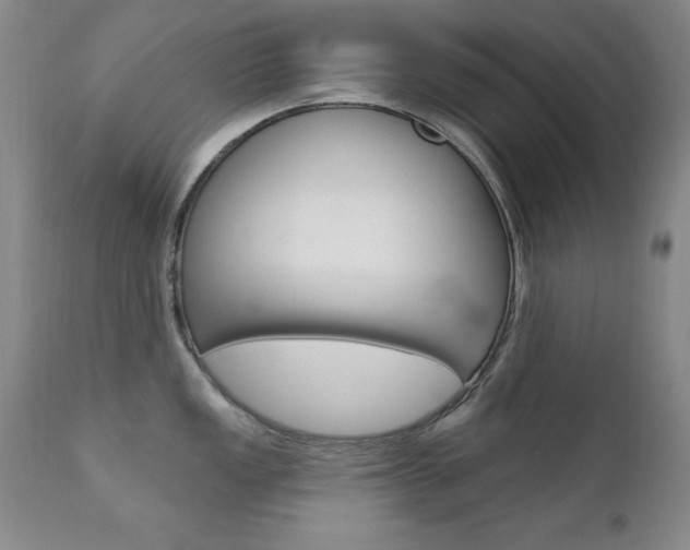 X0000111581149200907161149