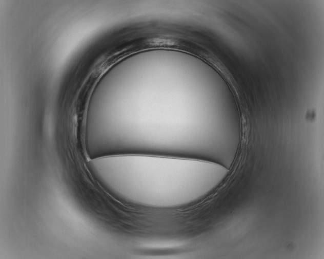 X0000111581151200907161149