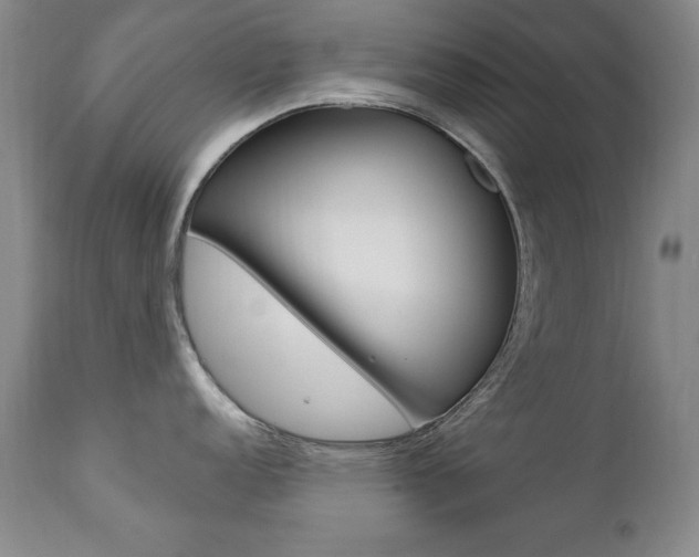 X0000111581152200907161149