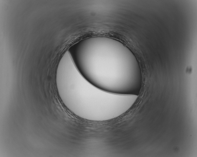 X0000111581153200907161149