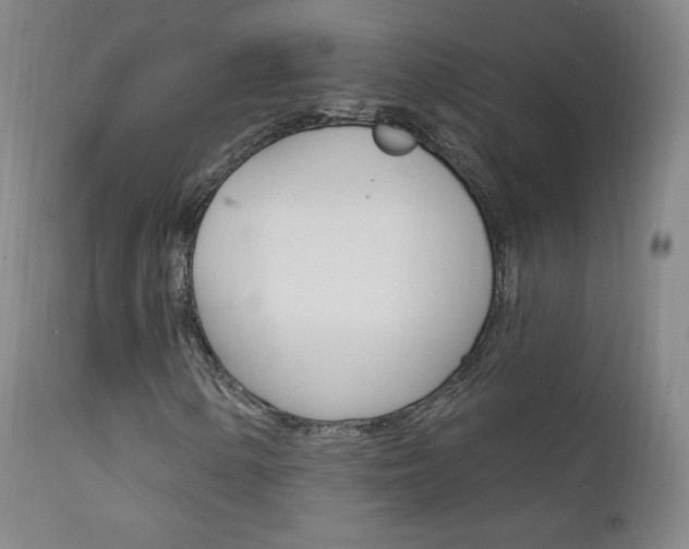 X0000111581154200907161149