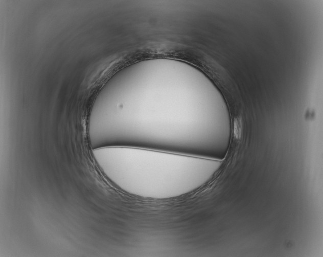 X0000111581155200907161149