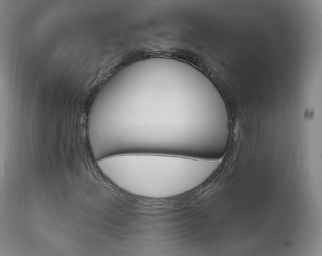 X0000111581156200907161149
