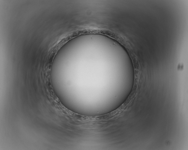 X0000111581157200907161149
