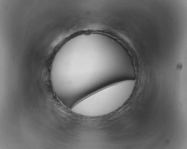 X0000111581160200907161149