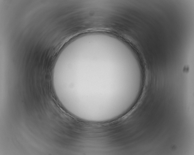 X0000111581161200907161149