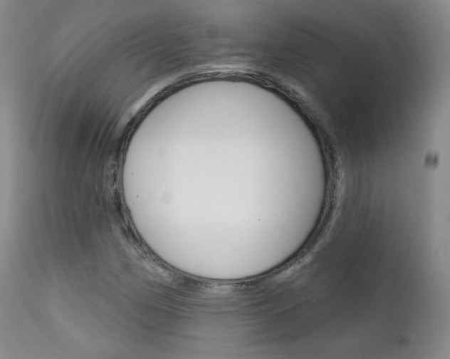 X0000111581162200907161149