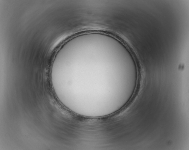 X0000111581163200907161149