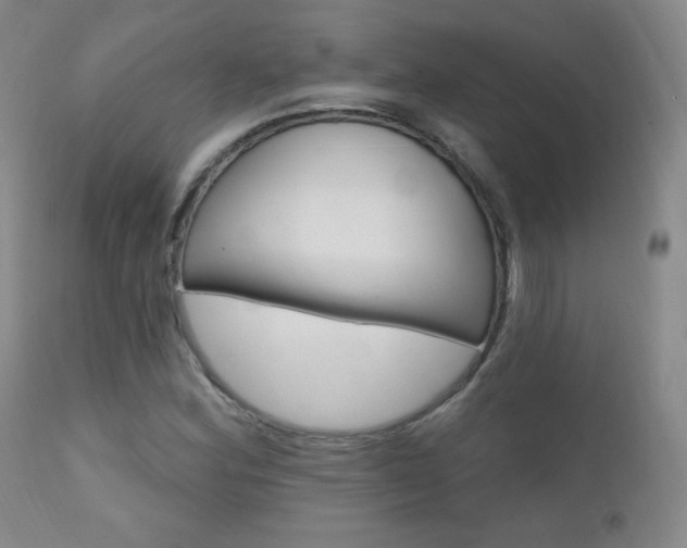 X0000111581164200907161149