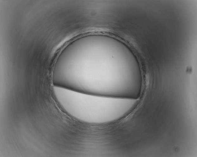 X0000111581165200907161148