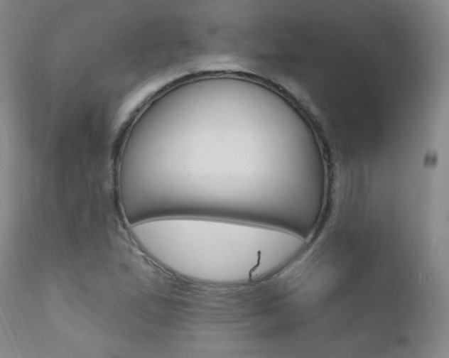 X0000111581167200907161148