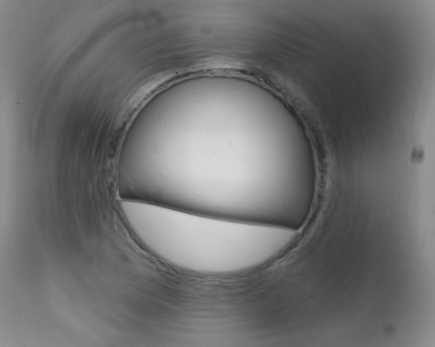 X0000111581169200907161148