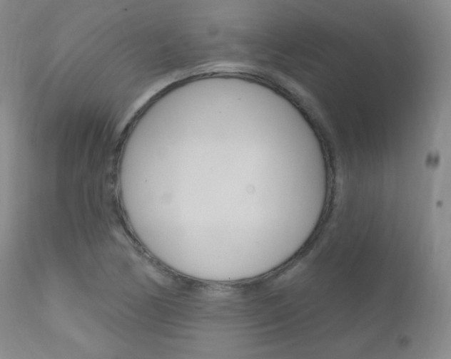 X0000111581170200907161148