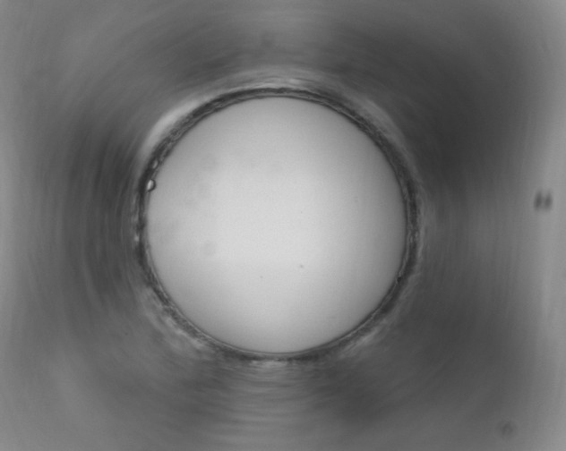 X0000111581172200907161148