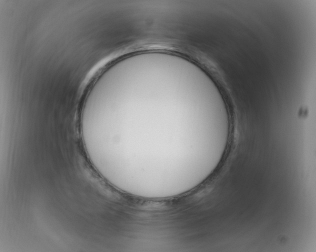 X0000111581174200907161148