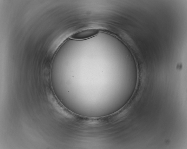 X0000111581177200907161148