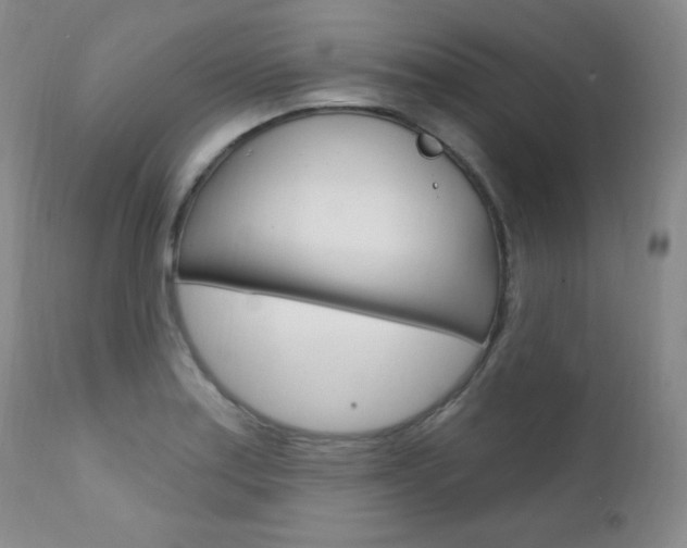 X0000111581179200907161148