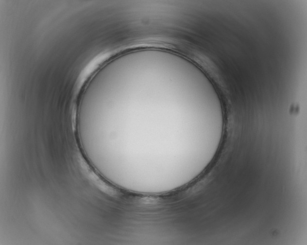 X0000111581180200907161148