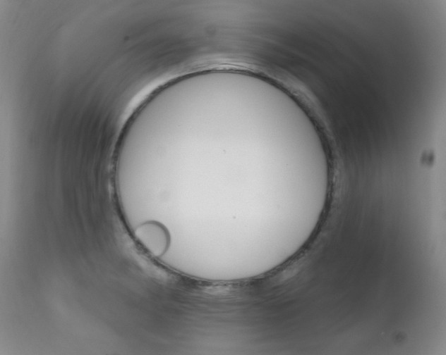 X0000111581182200907161148