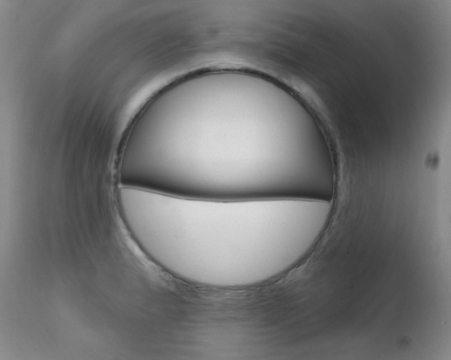 X0000111581183200907161148