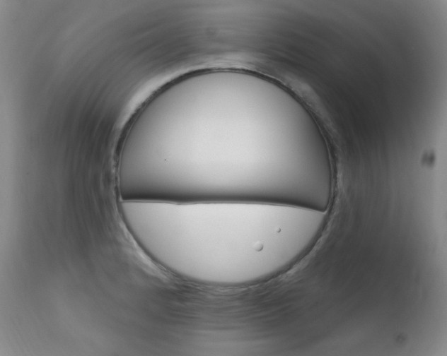 X0000111581184200907161148